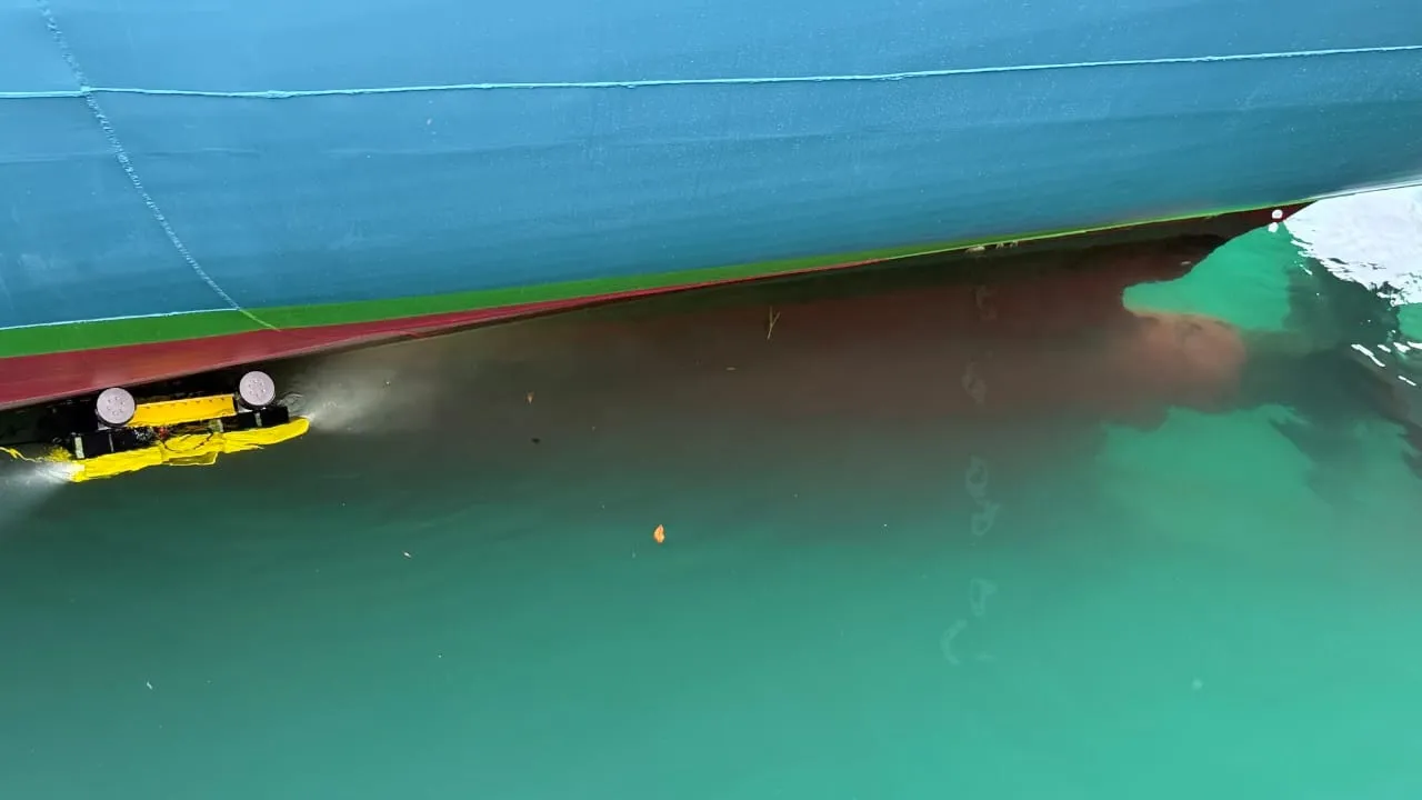 Hull cleaning and underwater inspections